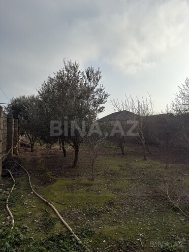 Продаётся  участок 10 сот, пос. Бина, photo 4 from 8