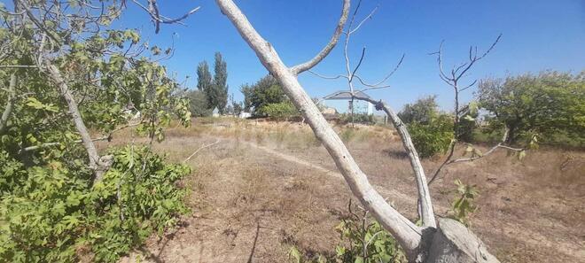 Satılır  torpaq 18 sot, Nardaran q., photo 8 from 11