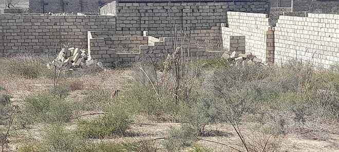 Satılır  torpaq 18 sot, Nardaran q., photo 9 from 11