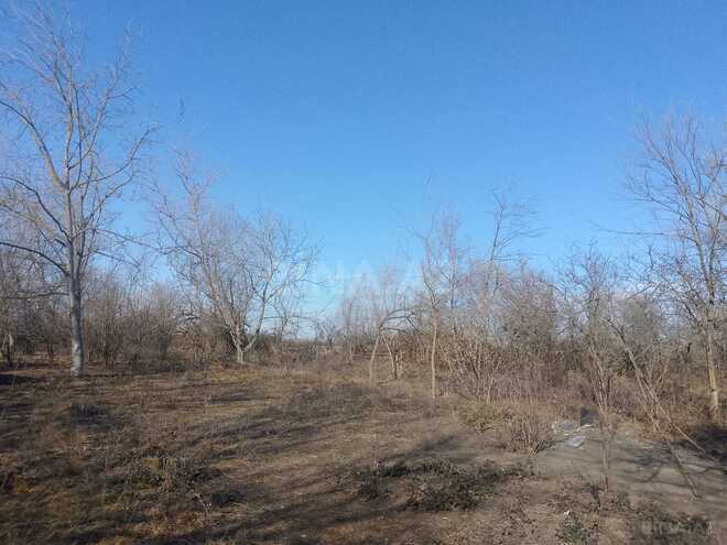 Продаётся  участок 20 сот, photo 3 from 5