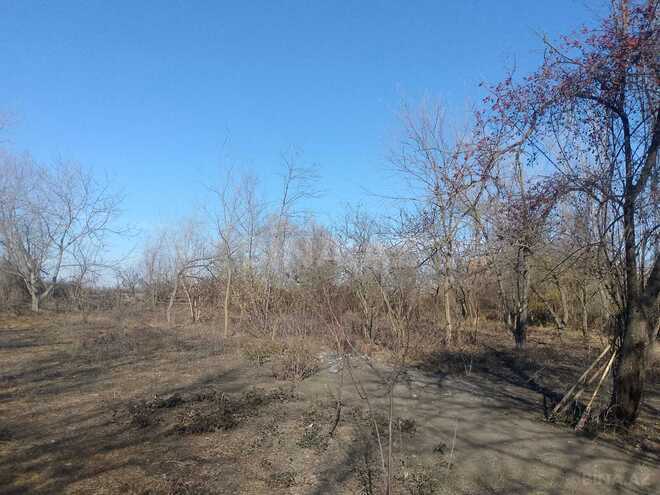 Продаётся  участок 20 сот, photo 4 from 5