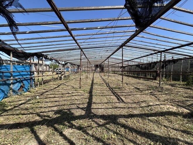 Продаётся 3-комн. дом/дача 264 м², пос. Гала, photo 9 from 11