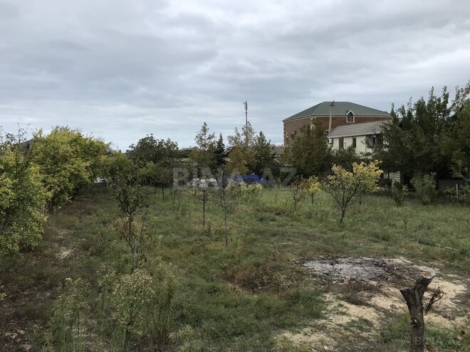 Продаётся  участок 40 сот, пос. Пиршаги, photo 5 from 8