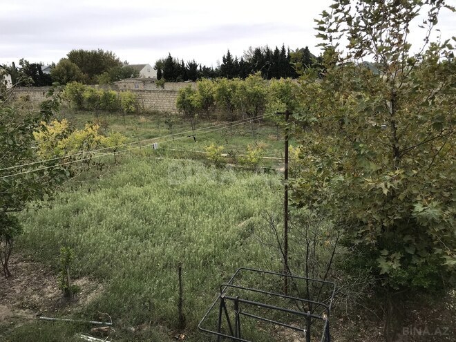 Продаётся  участок 40 сот, пос. Пиршаги, photo 4 from 8