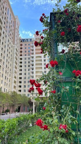 Satılır 2 otaqlı yeni tikili 68 m², Elmlər Akademiyası m., photo 22 from 26