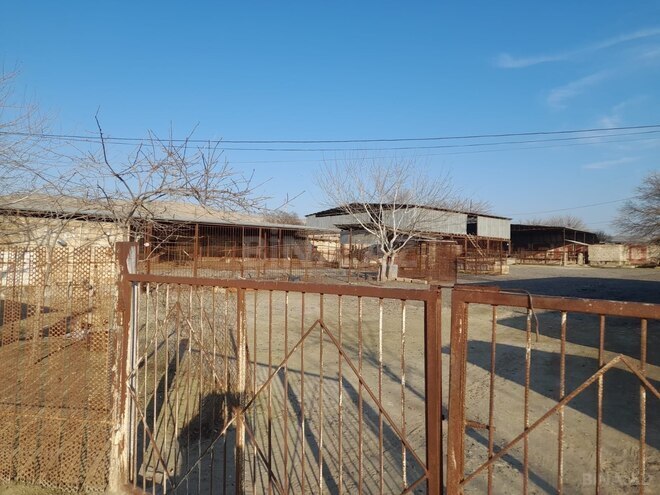 Satılır  torpaq 12 sot, photo 7 from 11