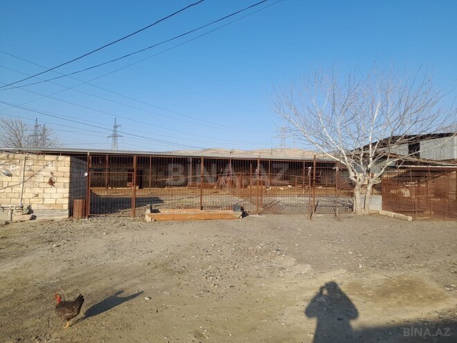 Satılır  torpaq 12 sot, photo 8 from 11