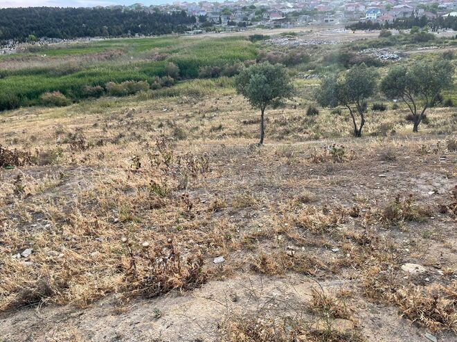 Satılır  torpaq 322 sot, Pirəkəşkül q., photo 4 from 6