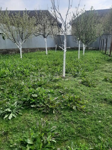 Продаётся  участок 4.2 сот, photo 3 from 6