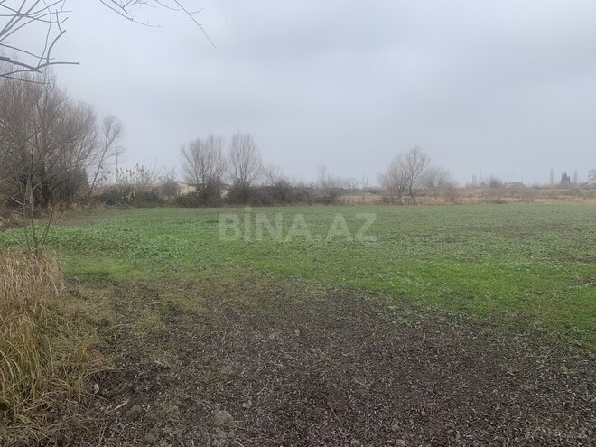 Satılır  torpaq 32 sot, Xaçmaz r., photo 3 from 5
