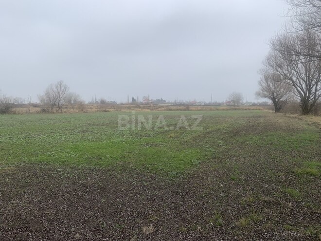 Satılır  torpaq 32 sot, Xaçmaz r., photo 4 from 5