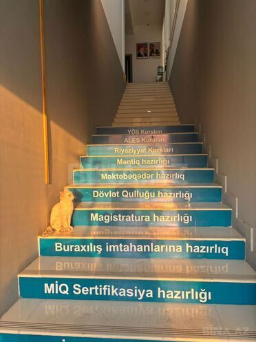 Сдаётся 7-комн. офис 135 м², Ясамальский р., photo 5 from 9