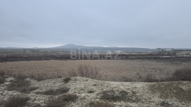 Satılır  torpaq 506 sot, Pirəkəşkül q., photo 5 from 12