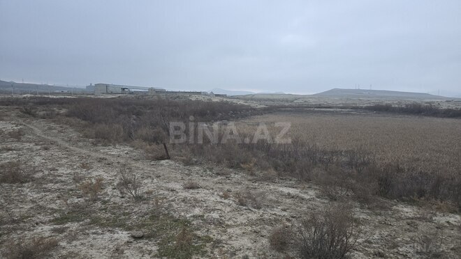 Satılır  torpaq 506 sot, Pirəkəşkül q., photo 8 from 12