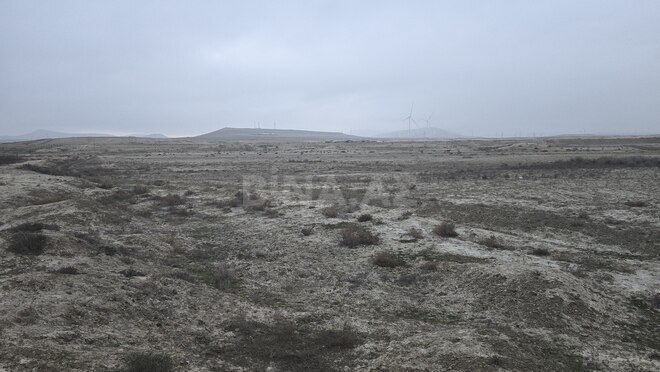 Satılır  torpaq 506 sot, Pirəkəşkül q., photo 4 from 12