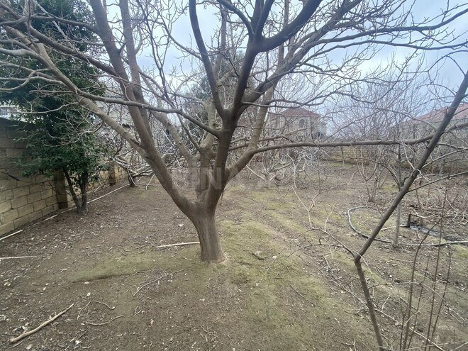 Продаётся  участок 6 сот, пос. Сарай, photo 6 from 13