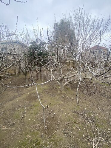 Продаётся  участок 6 сот, пос. Сарай, photo 8 from 13