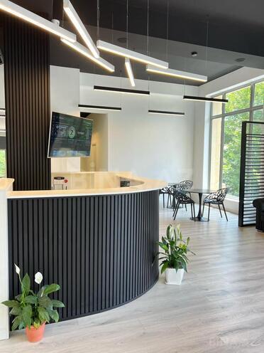 Сдаётся  объект 300 м², м. Низами, photo 3 from 20