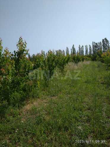 Satılır  torpaq 241 sot, Xaçmaz r., photo 7 from 10