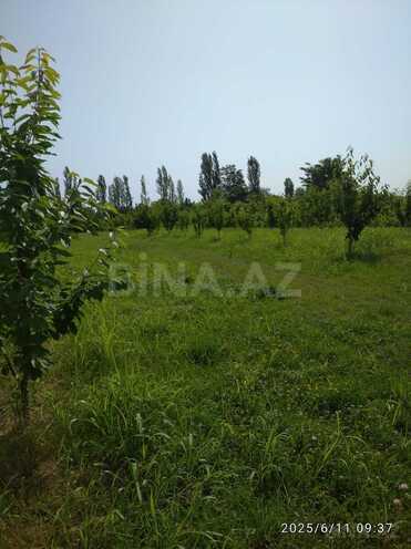 Satılır  torpaq 241 sot, Xaçmaz r., photo 4 from 10