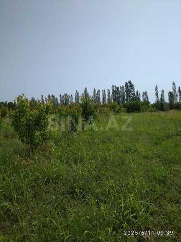 Satılır  torpaq 241 sot, Xaçmaz r., photo 8 from 10