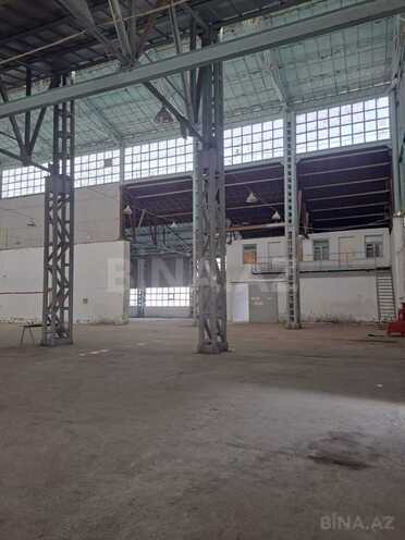 Сдаётся  объект 1 800 м², пос. Бинагади, photo 10 from 14