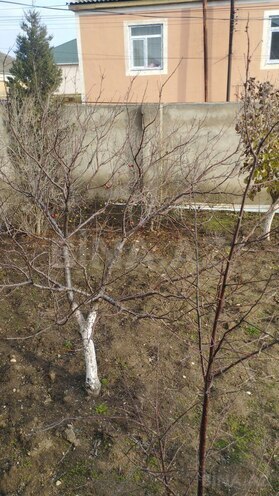 Satılır 5 otaqlı həyət evi/bağ evi 175 m², Bahar q., photo 12 from 16