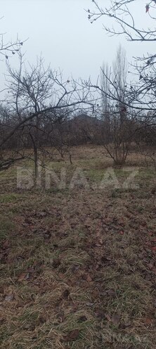 Satılır  torpaq 9 sot, Xaçmaz r., photo 5 from 12