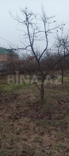 Satılır  torpaq 9 sot, Xaçmaz r., photo 4 from 12