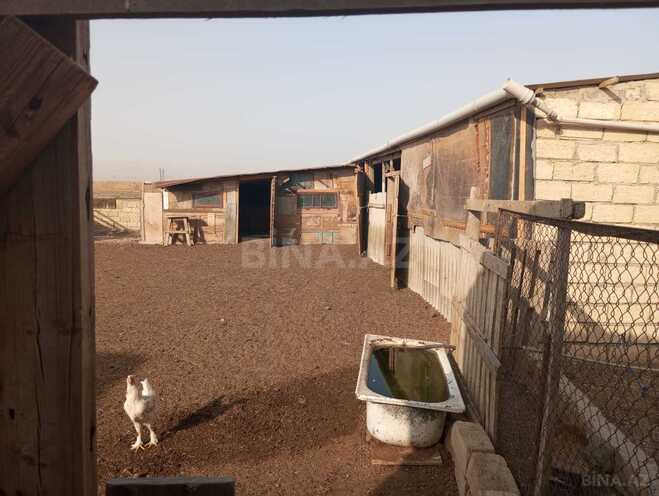 Продаётся 2-комн. дом/дача 54 м², photo 6 from 13