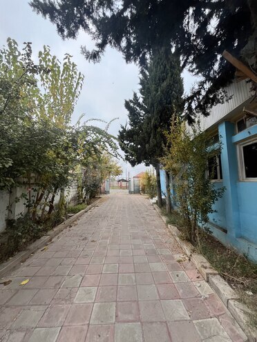 Satılır 6 otaqlı həyət evi/bağ evi 150 m², photo 11 from 31