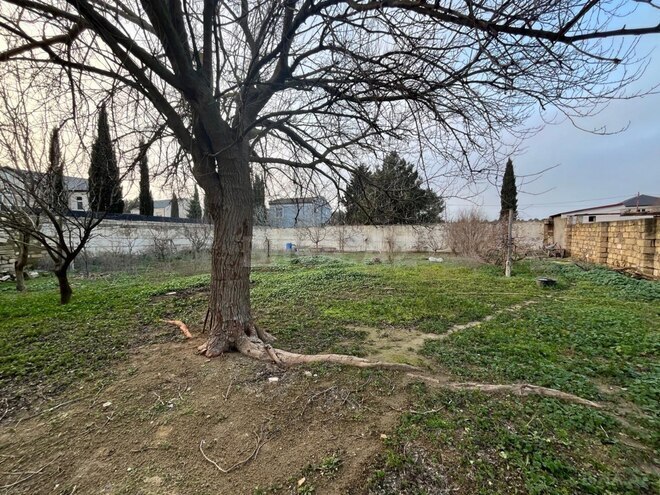 Продаётся 3-комн. дом/дача 80 м², пос. Вишнёвка, photo 20 from 23