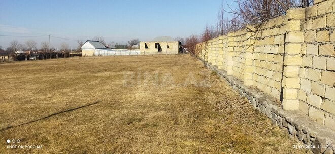 Satılır  torpaq 24 sot, photo 3 from 9