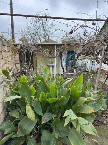 Продаётся 5-комн. дом/дача 100 м², photo 4 from 17