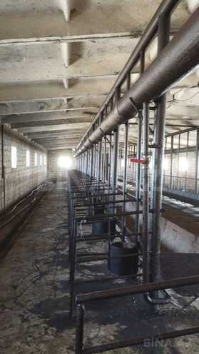 Satılır  obyekt 66 m², photo 6 from 26