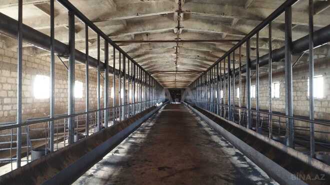 Satılır  obyekt 66 m², photo 3 from 26