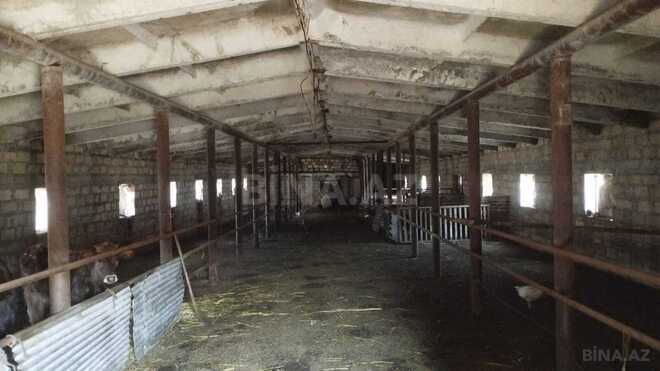 Satılır  obyekt 66 m², photo 19 from 26