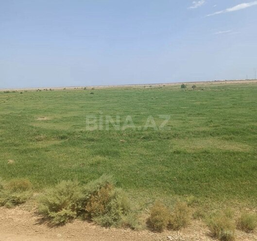 Satılır  torpaq 10 000 sot, photo 3 from 5