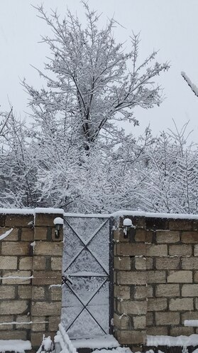 İcarəyə verilir 3 otaqlı həyət evi/bağ evi 65 m², photo 4 from 16