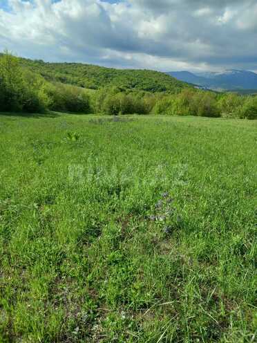 Продаётся  участок 277 сот, photo 7 from 9