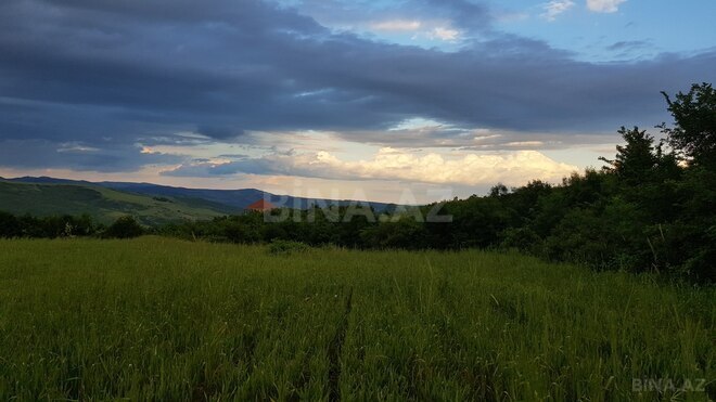 Продаётся  участок 277 сот, photo 5 from 9