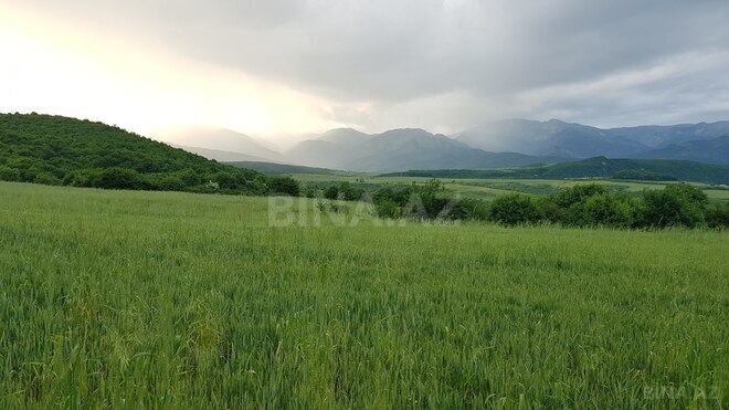 Продаётся  участок 277 сот, photo 4 from 9