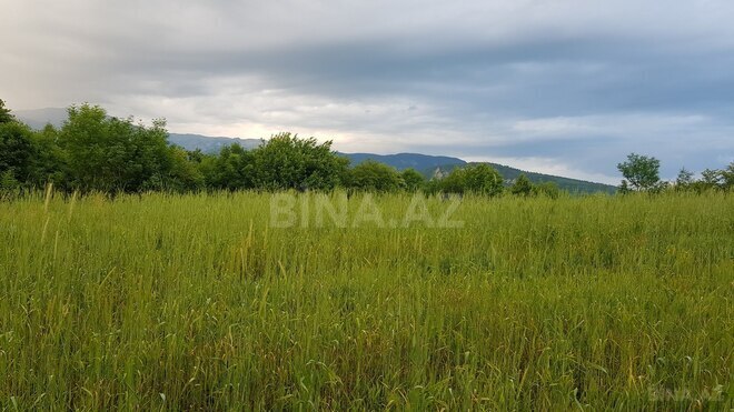 Продаётся  участок 277 сот, photo 3 from 9