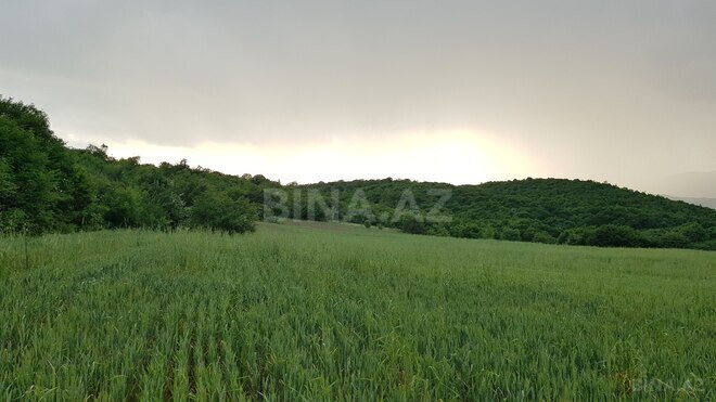 Продаётся  участок 277 сот, photo 8 from 9