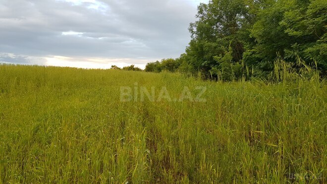 Продаётся  участок 277 сот, photo 6 from 9