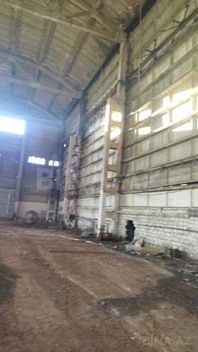 Сдаётся  объект 1 000 м², Абшеронcкий  р., photo 3 from 6