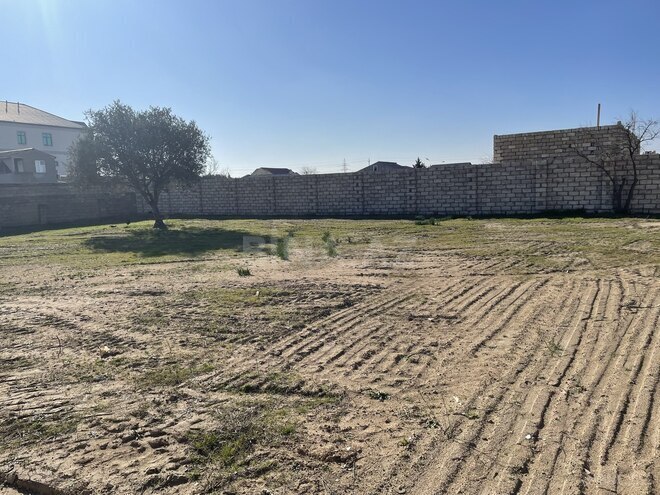 Satılır  torpaq 10 sot, Albalılıq q., photo 5 from 12