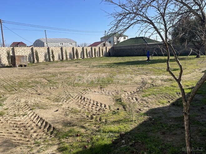 Satılır  torpaq 10 sot, Albalılıq q., photo 7 from 12