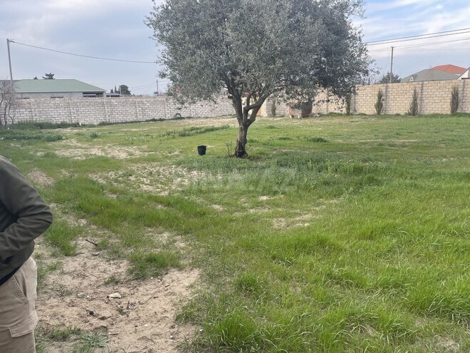 Satılır  torpaq 10 sot, Albalılıq q., photo 9 from 12