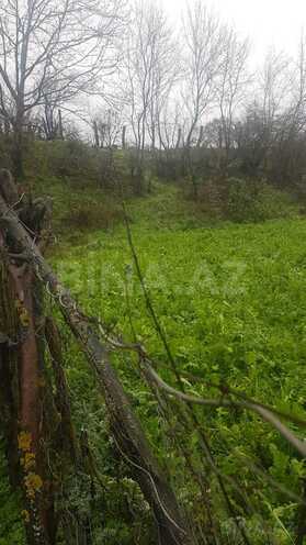Satılır  torpaq 32 sot, Nardaran q., photo 3 from 6
